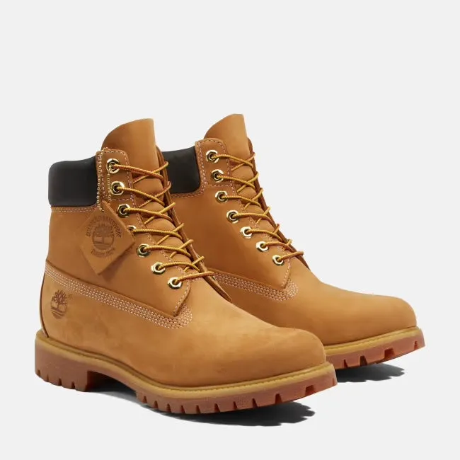 Men's Premium 6" WP