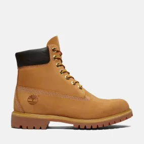 Men's Premium 6" WP