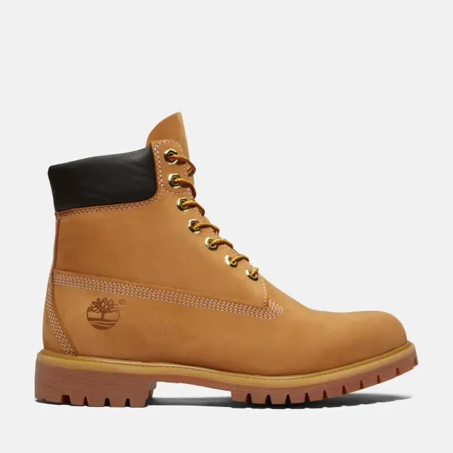 Men's Premium 6" WP