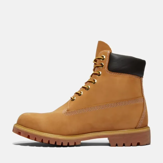 Men's Premium 6" WP