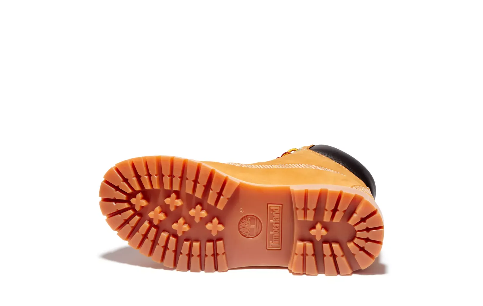 Women's Timberland Premium 6"